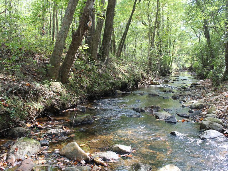 Sold Lucky Lane Tract : Bowdon : Carroll County : Georgia