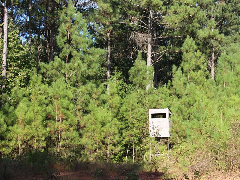 Faulkner Road Tract : Waco : Carroll County : Georgia
