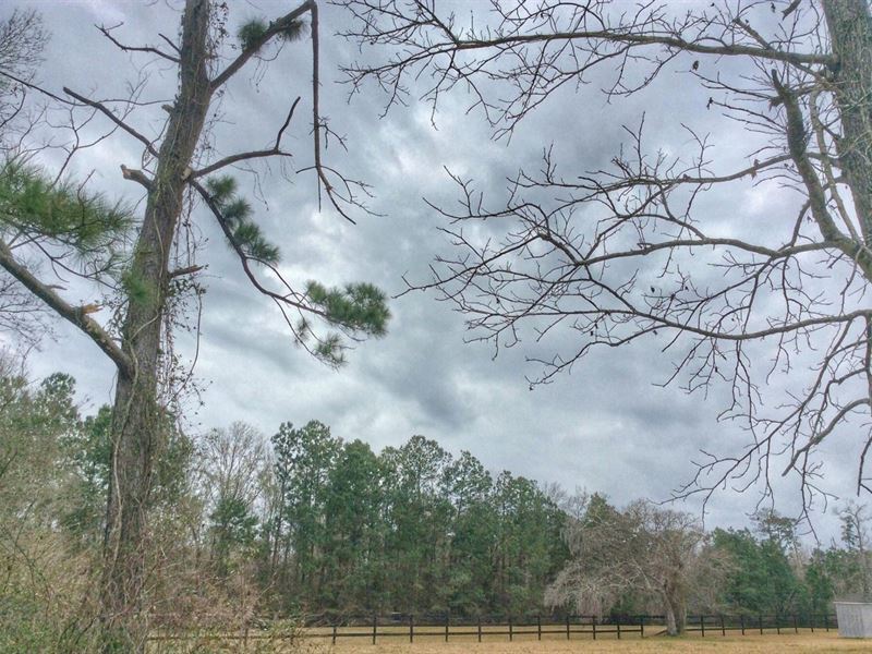 Jacob Road Tract, Calcasieu Parish : Vinton : Calcasieu Parish : Louisiana
