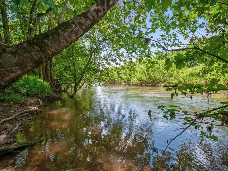 365 Acres On The Duck River : Columbia : Maury County : Tennessee