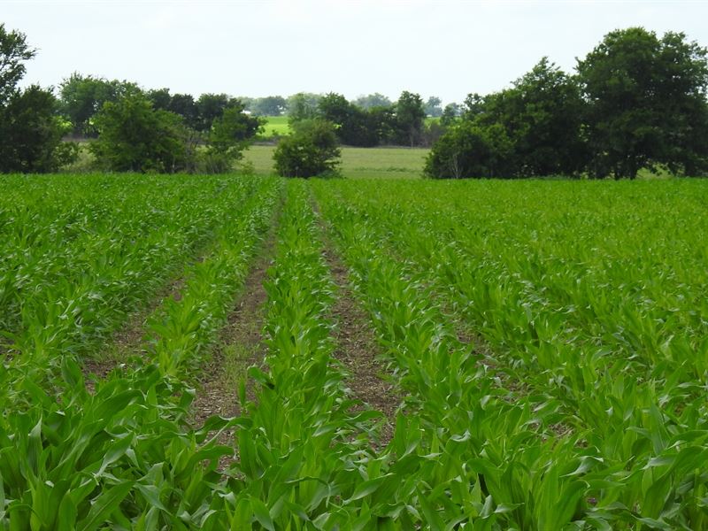 Cedar Creek Rd, 15.1 Ac, Temple : Temple : Bell County : Texas
