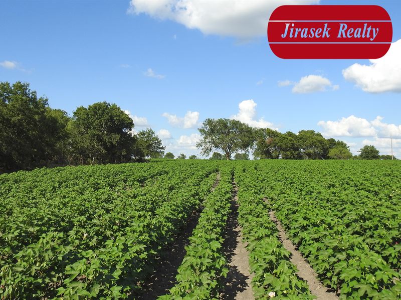 85.979 Acres, Content School Rd : Temple : Bell County : Texas