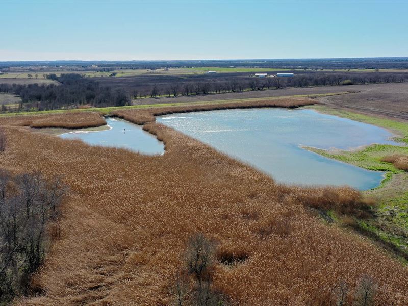 51.2 Ac, Content School Rd, Temple : Temple : Bell County : Texas