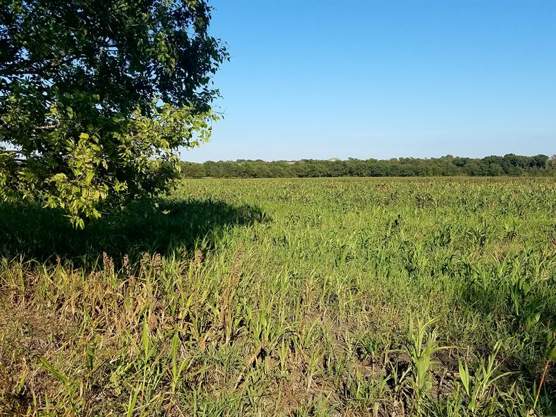 Brewster Road Ranchettes, Tract 6 : Temple : Bell County : Texas