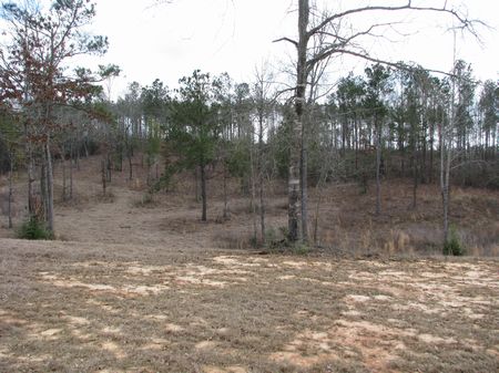 Patsaliga : Gannt : Covington County : Alabama