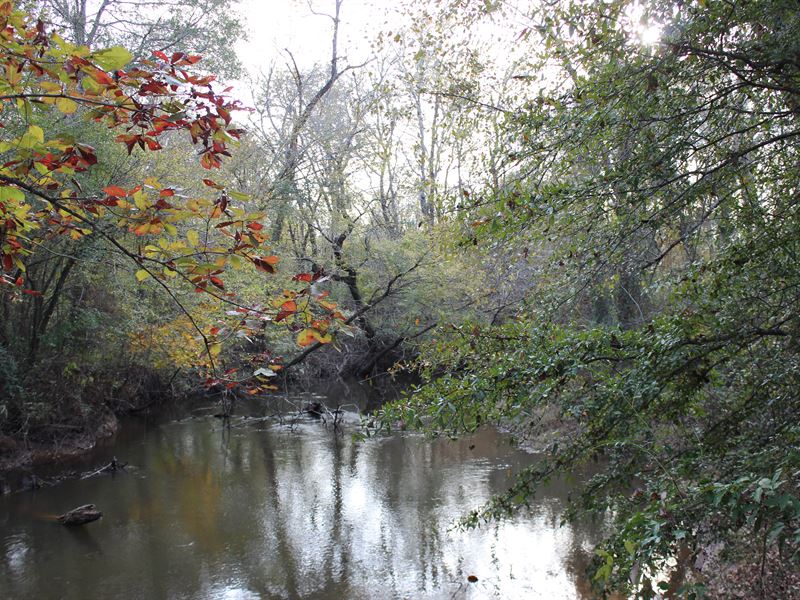 Incredible Hunting Property : Macon : Bibb County : Georgia