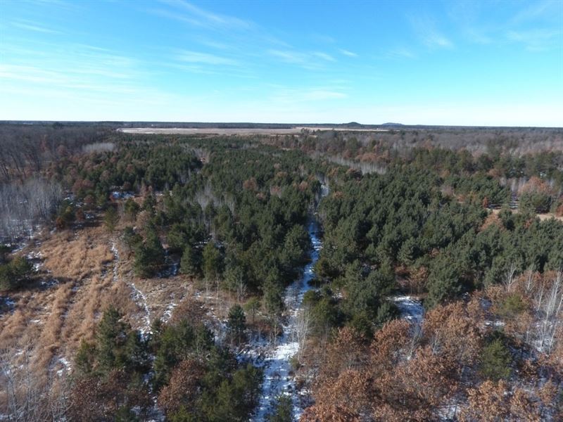60 Acres Of Mixed Landscape : Hancock : Adams County : Wisconsin