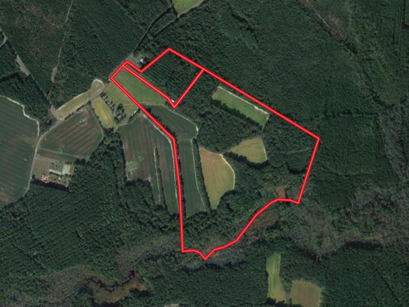 85.04 Acres of Re : Emporia : Greensville County : Virginia