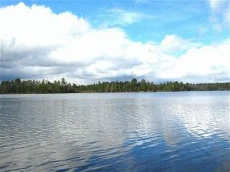 Lakefront & Acreage : Land O'lakes : Vilas County : Wisconsin