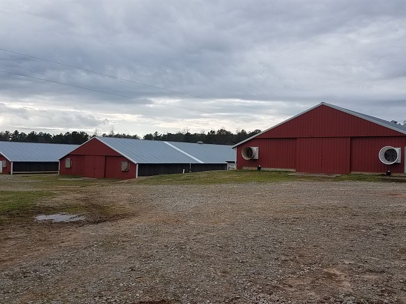 3 House Broiler Farm in Carrollton : Carrollton : Carroll County : Georgia
