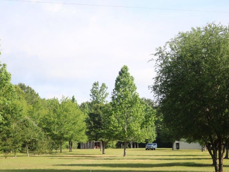 10 Acres in Perry County in Brookly : Brooklyn : Perry County : Mississippi