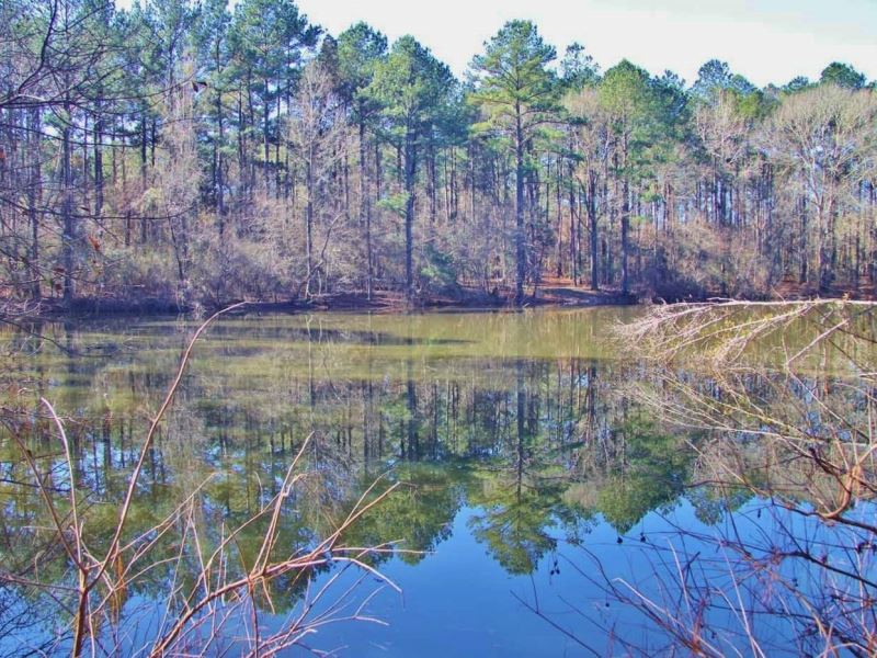 51.85 Acres for Sale Smithdale, Ami : Smithdale : Amite County : Mississippi