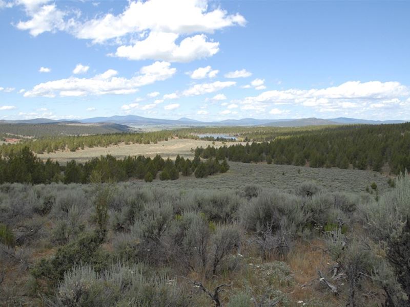 Great Philpott Property : Bonanza : Klamath County : Oregon