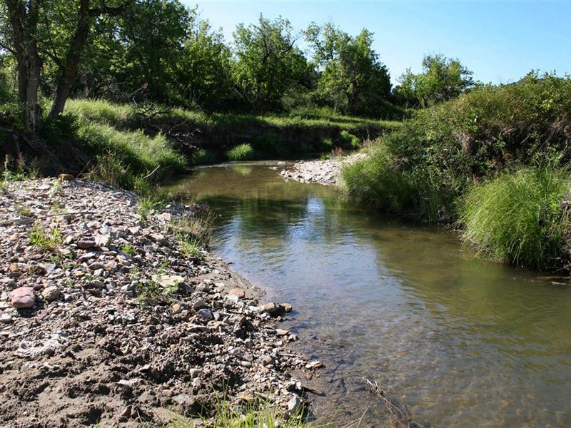 Beaver Creek Acreage : Alva : Crook County : Wyoming