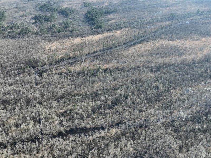 Alligator Park Road Tract, Calcasie : Starks : Calcasieu Parish : Louisiana