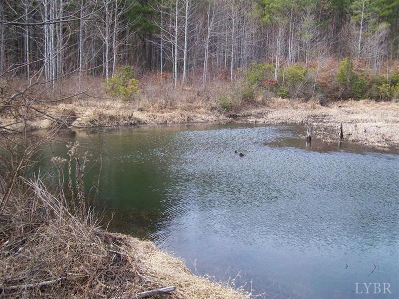 591+/- Acres Sportsman's Paradise : Wingina : Nelson County : Virginia
