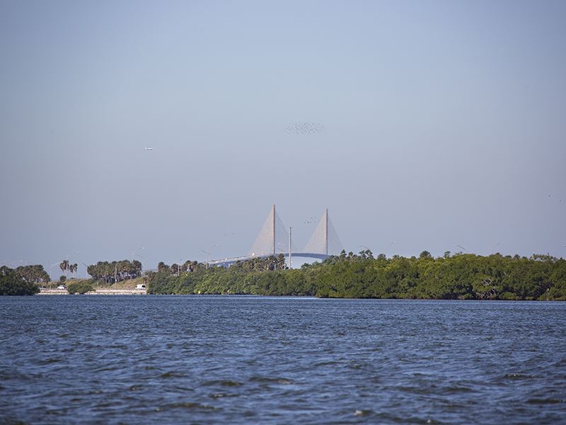Skyway Resort Development : Terra Ceia : Manatee County : Florida