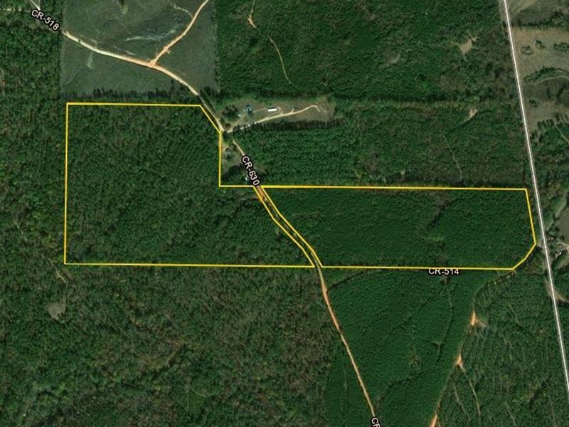 Town Creek Timber and Hunting Tract : Woodland : Randolph County : Alabama