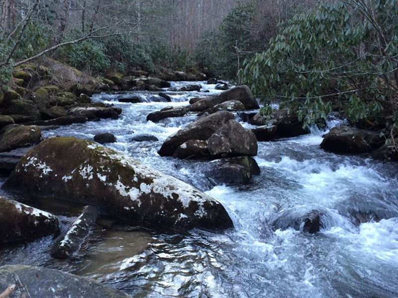 Little Snowbird : Robbinsville : Graham County : North Carolina