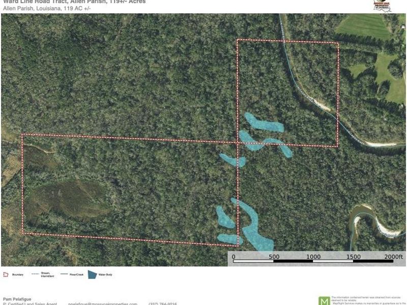 Ward Line Road Tract, Allen Parish : Kinder : Allen Parish : Louisiana