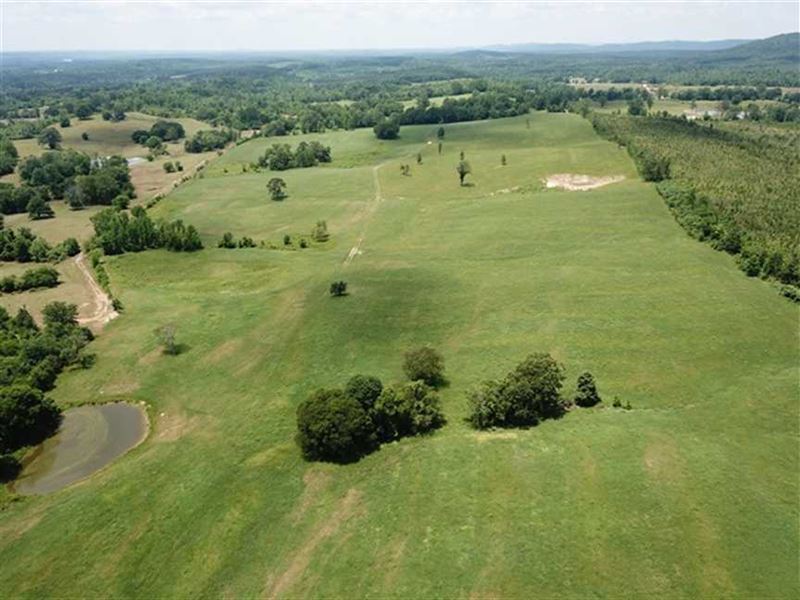 Price Reduced, 528 Acre Cattle : Bismarck : Hot Spring County : Arkansas