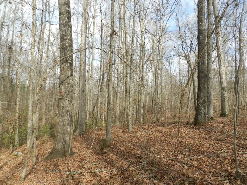 North Butts Co. Near McDonough : Jackson : Butts County : Georgia