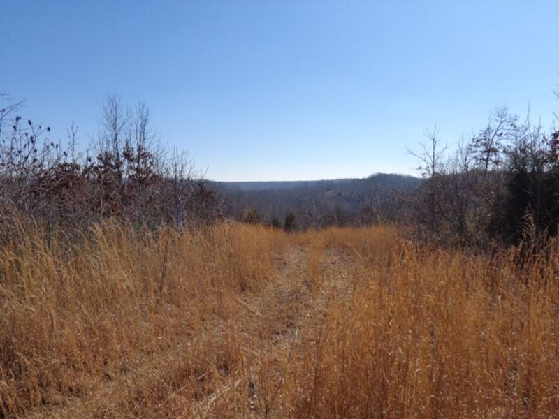 Tn Land, Owner Financed, Location : Hampshire : Lewis County : Tennessee