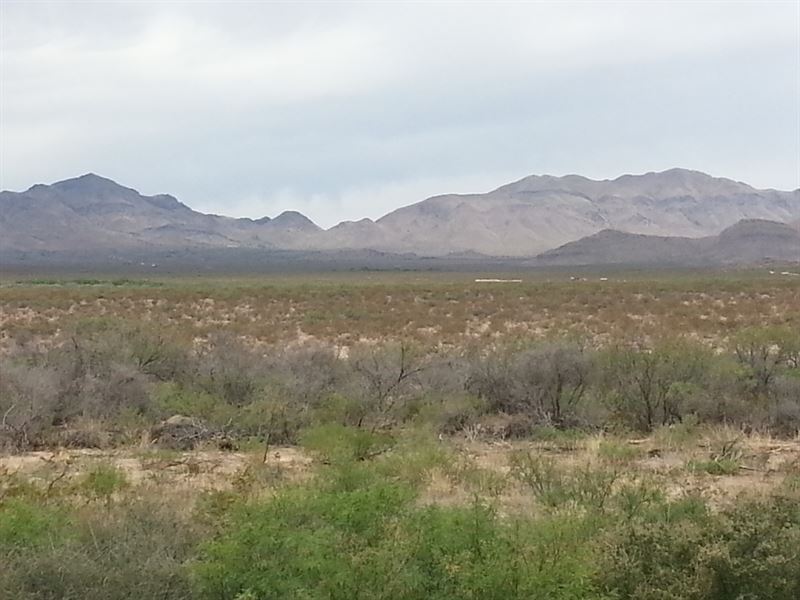 40 Acrs Near Paved Rd $0 Dn $228/Mo : Sierra Blanca : Hudspeth County : Texas