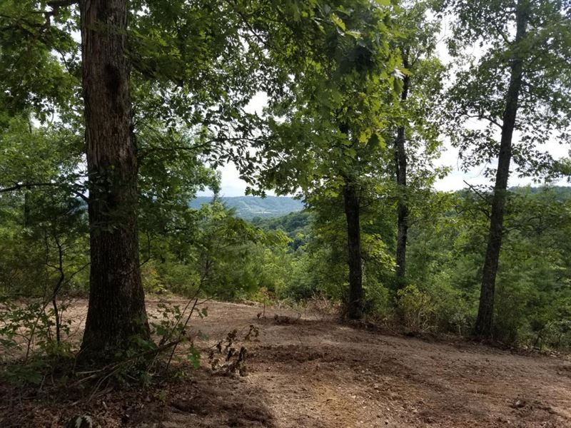 15.06 Ac Awesome Mtn & Valley Views : Gentry Lane : Clay County : Tennessee