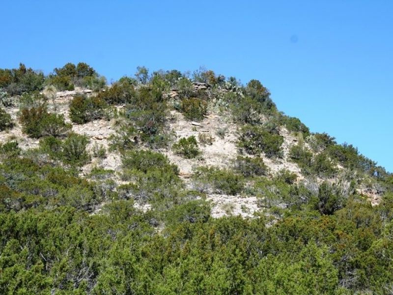 Kirkpatrick Ranch : Carlsbad : Tom Green County : Texas