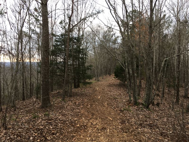 100 Acres Hwy 27, Cedartown : Cedartown : Polk County : Georgia