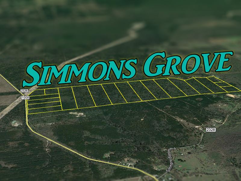10.768 Ac Simmons Grove Tract 1 : Dayton : Liberty County : Texas