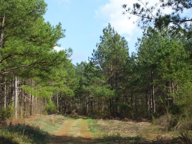 Fair Play Tract : Fair Play : Oconee County : South Carolina