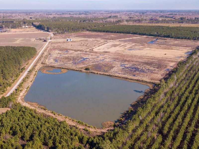 Tailor-Made with Hunters in Mind : Williamston : Martin County : North Carolina