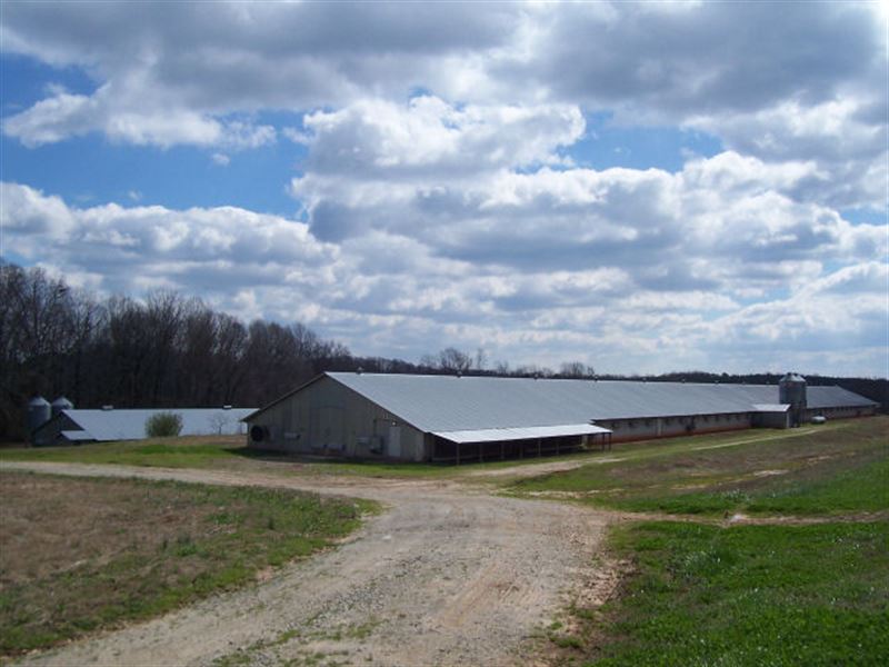 North Georgia Poultry Farm : Homer : Banks County : Georgia