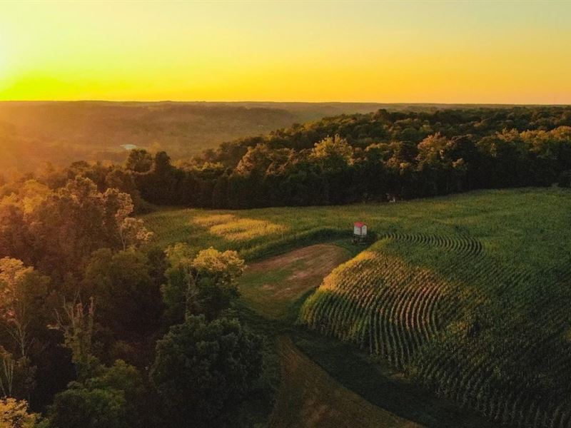 73 Acres Jefferson County Ridgetop : Madison : Jefferson County : Indiana