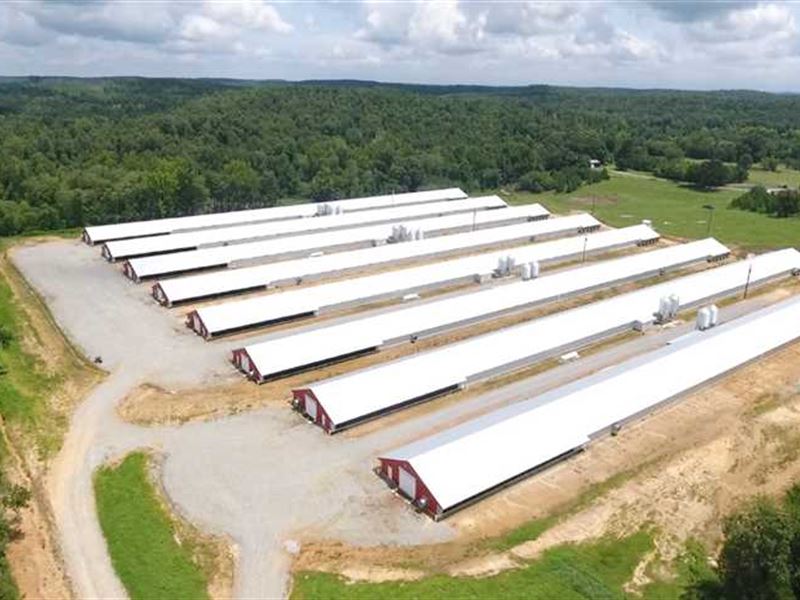 8 Omp Poultry Houses Built in 2017 : Cave City : Sharp County : Arkansas