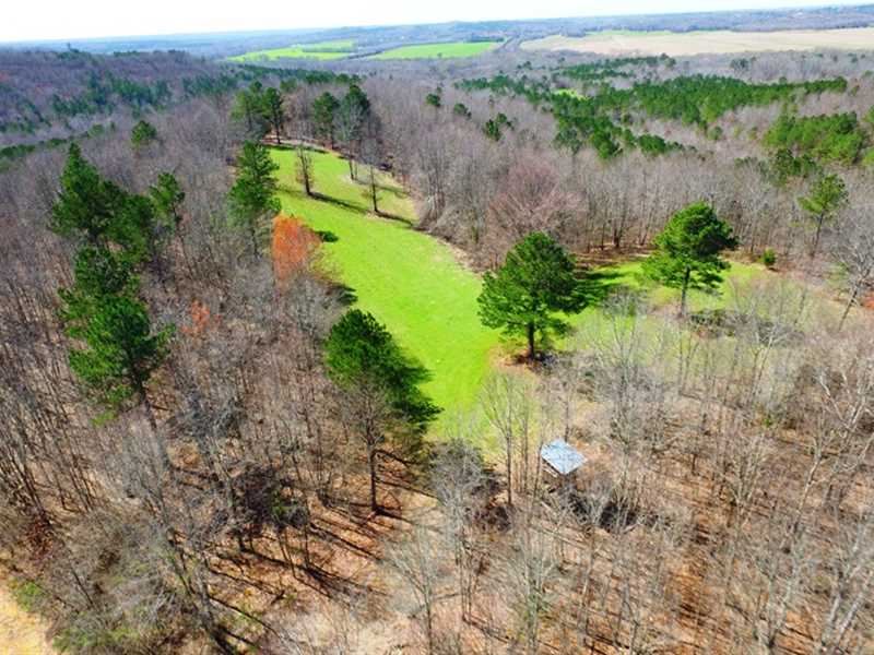 For Sale Beautiful 292 Acres Off : Cherokee : Colbert County : Alabama