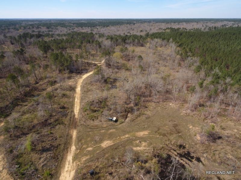272 Ac, Hunting with Home Site Pot : Harrisonburg : Catahoula Parish : Louisiana