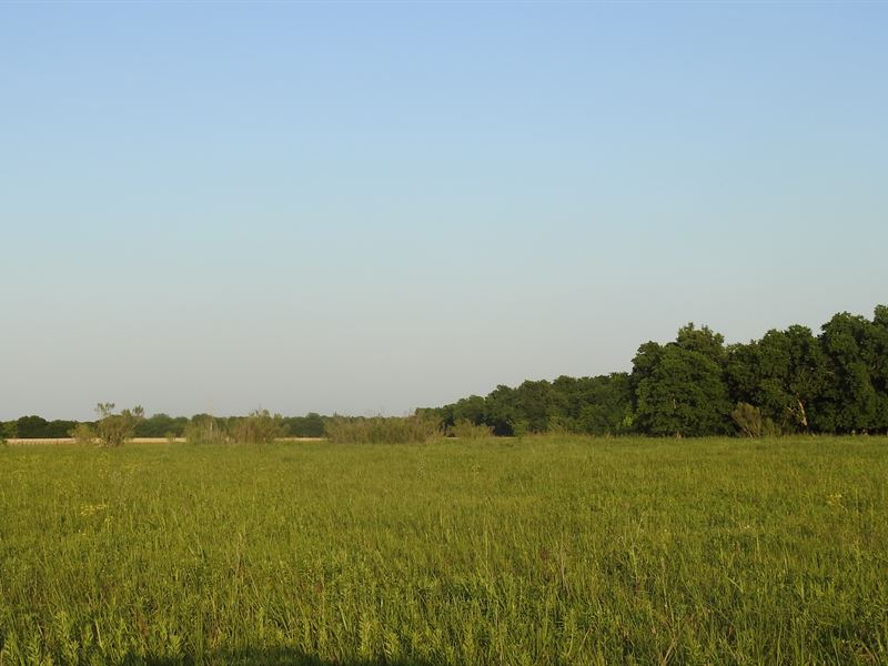 Wallace Road, Holland, Bell County : Holland : Bell County : Texas