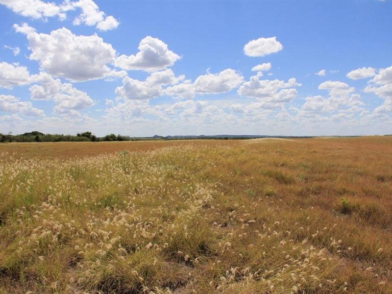 Happy Valley Ranch : Wingate : Taylor County : Texas
