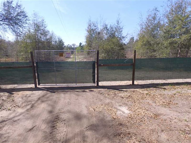 39.94 Acres of High and Dry Proper : Jennings : Hamilton County : Florida