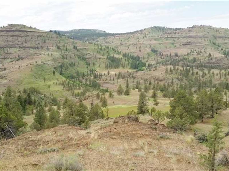 370 Acres Land in Monument OR : Monument : Grant County : Oregon