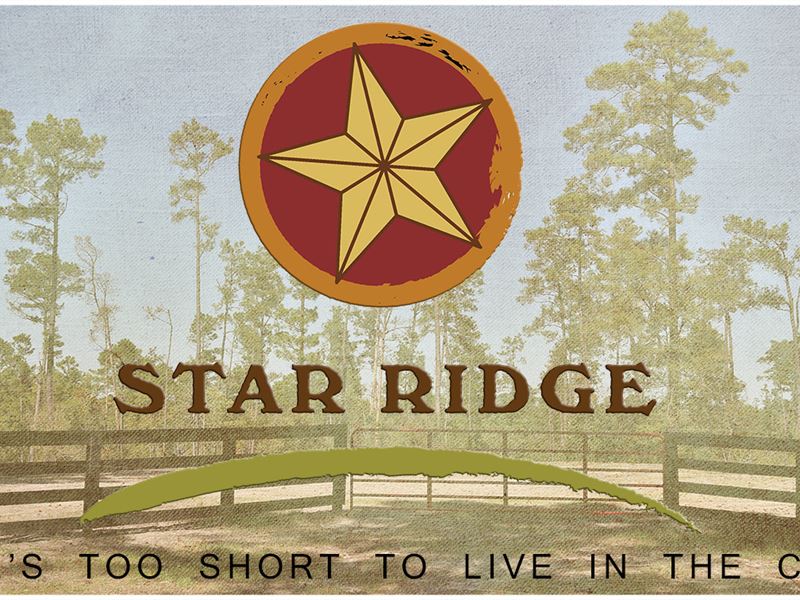 11 Ac Cm Hardy Lane-Star Ridge : Livingston : Polk County : Texas