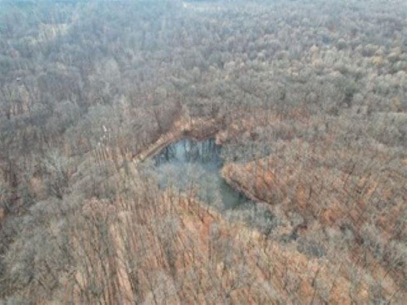 Land for Sale in Greene County : Jasonville : Greene County : Indiana
