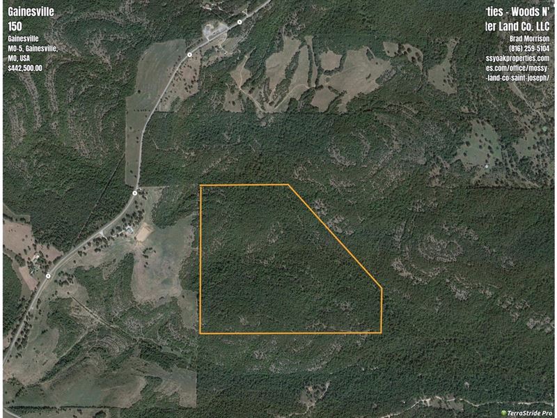 Affordable Ozark County Hunting Acr : Gainesville : Ozark County : Missouri