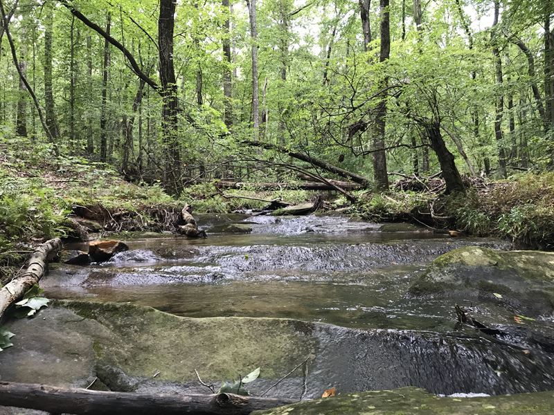 Versatile Acreage with Creek Views : Douglasville : Douglas County : Georgia