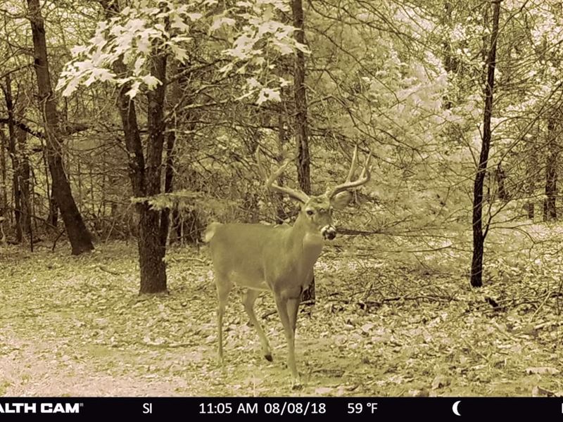 Lake Texoma Area Land for Sale : Whitesboro : Grayson County : Texas