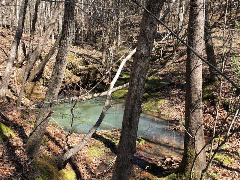 Farmington Farm : Watkinsville : Greene County : Georgia