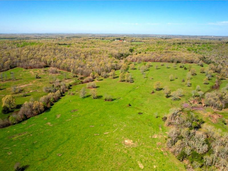 320 Acres, Pasture & Woods, Fen : Franklin : Izard County : Arkansas
